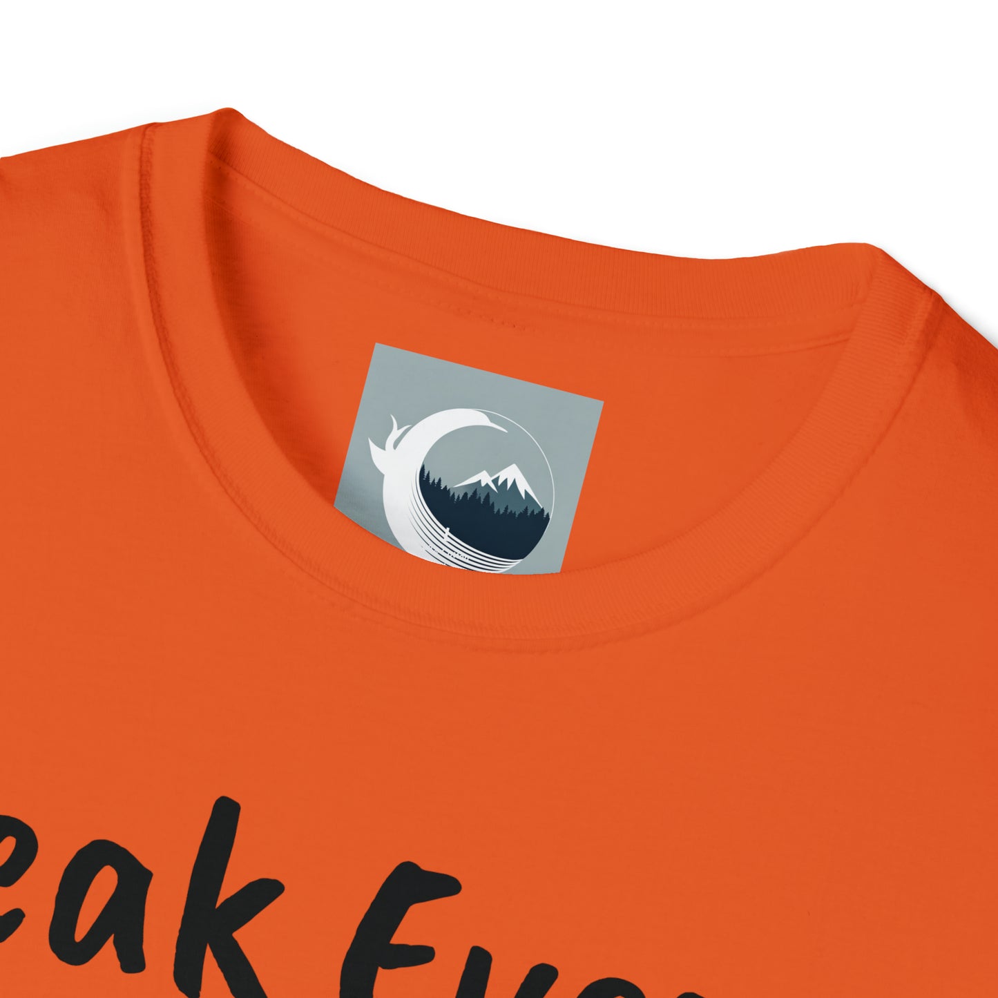 T-shirt Break Every Chain Unisex Softstyle